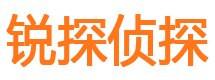 宝清市调查取证